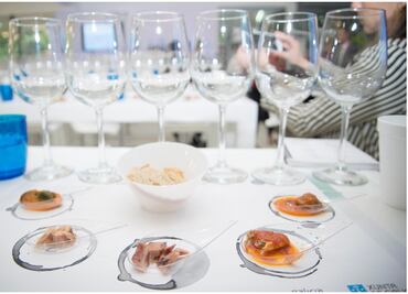 Todos los caminos llevan a Galicia