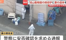 Arrestan a hombre por incinerar a su esposa en zoológico de Japón; usó crematorio del lugar para ocultar restos
