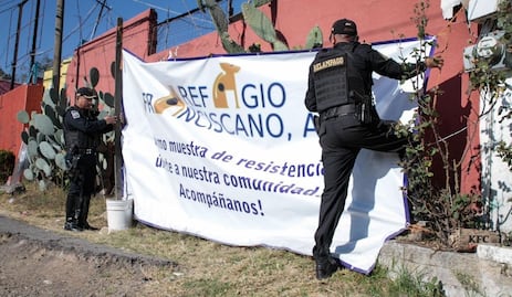 Cierre del Refugio Franciscano en CDMX tras 40 años de rescate animal; disputa por predio, maltrato y protestas, esto se sabe del caso