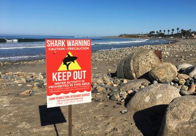 Tiburón ataca a mujer en playa del sur de California