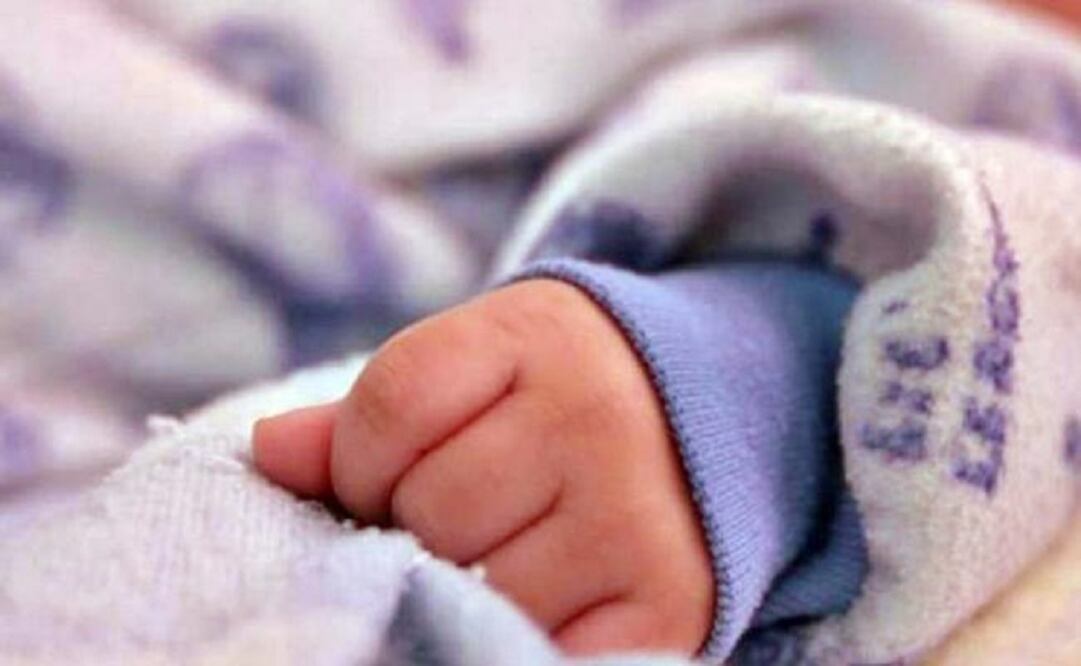 Imagen ilustrativa. Foto: archivo/EL UNIVERSAL