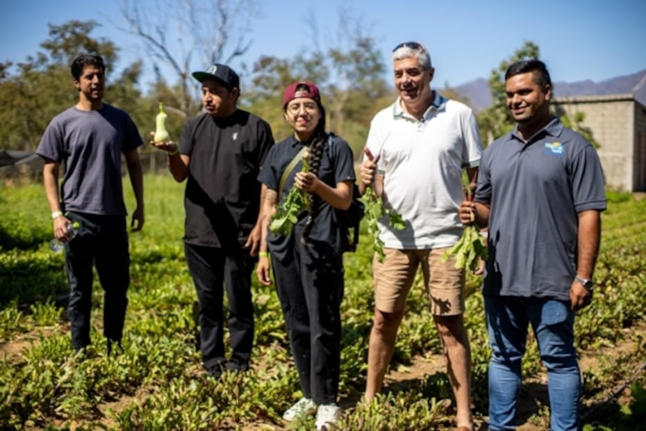 Gastronomía, producto local, vino y música en Los Cabos
