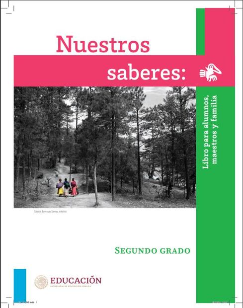 Nuestros saberes para Segundo de Primaria / Foto: Especial