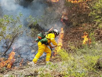 Reportan más de mil hectáreas dañadas por incendio forestal en NL