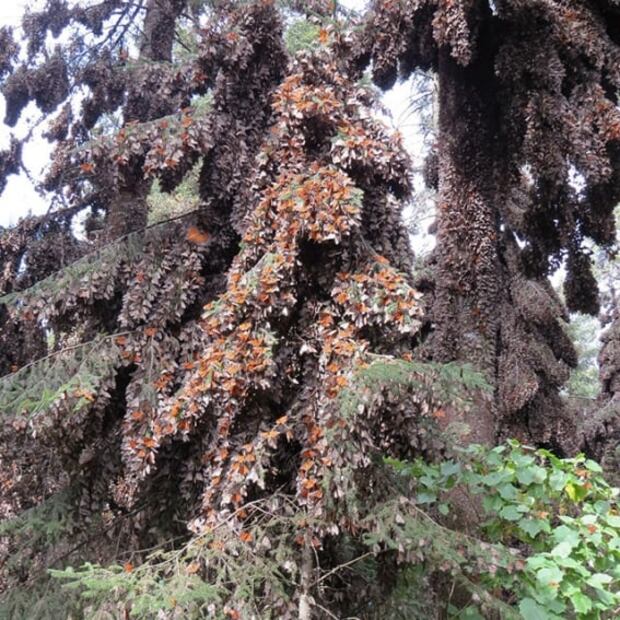 5 lugares imperdibles para visitar en el Estado de México