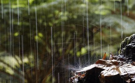 ¿Cómo se forma la lluvia? 