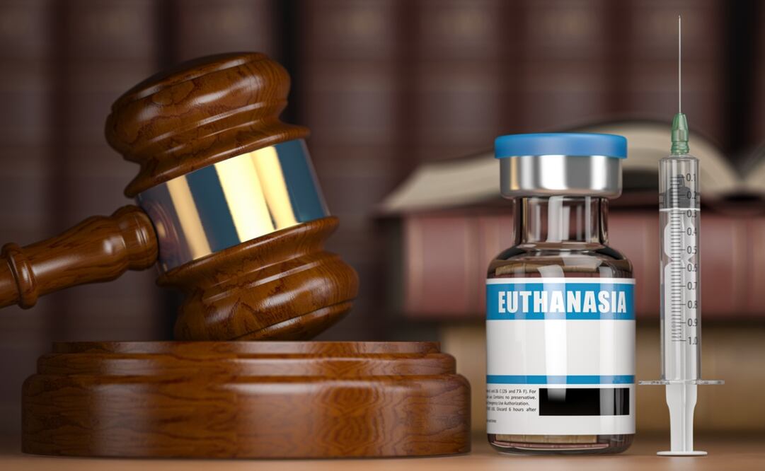 Países Bajos fue la primera nación en legalizar la eutanasia. Foto: iStock