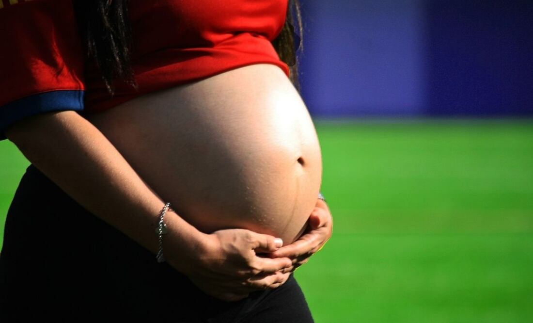 Alimentos en el embarazo. Fuente: Pixabay