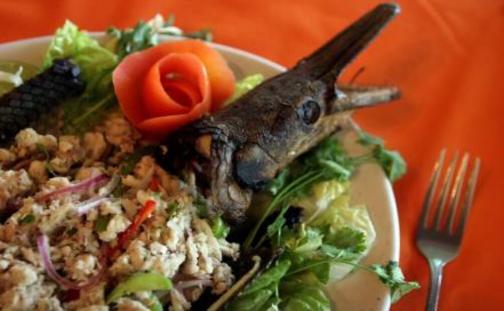 Los platillos más exóticos de México