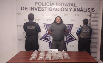 Aseguran doce ejemplares de ajolote en Puebla