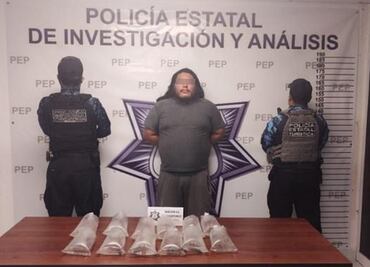 Aseguran doce ejemplares de ajolote en Puebla
