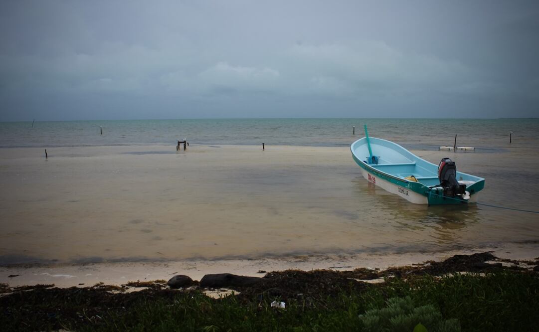 Foto: Archivo/ Notimex    