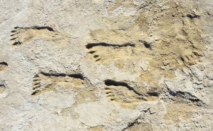Huellas en Nuevo México indican presencia humana en América hace 23 mil años