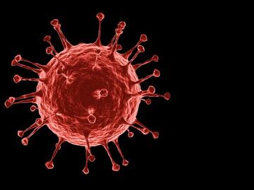 Ómicron: las 5 preguntas más buscadas en Google sobre la variante (y las respuestas de los expertos)