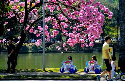 Obra de Oscar Niemeyer ingresa a la Lista del Patrimonio Mundial de la Humanidad