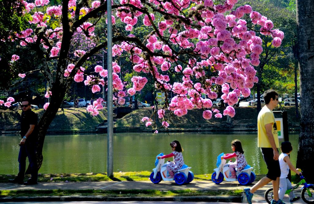 El Conjunto Arquitectónico Moderno de Pampulha, en Belo Horizonte, es considerado uno de los proyectos urbanístico-arquitectónicos más importantes de Brasil