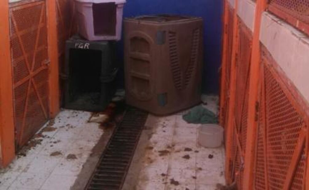 Denuncian maltrato en Centro Canino de Torreón