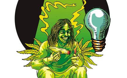 El Foco. Luz verde a la verde; pachecos legales