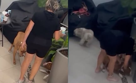 VIDEO: Exhiben a mujer pateando y golpeando a perritas en la Benito Juárez