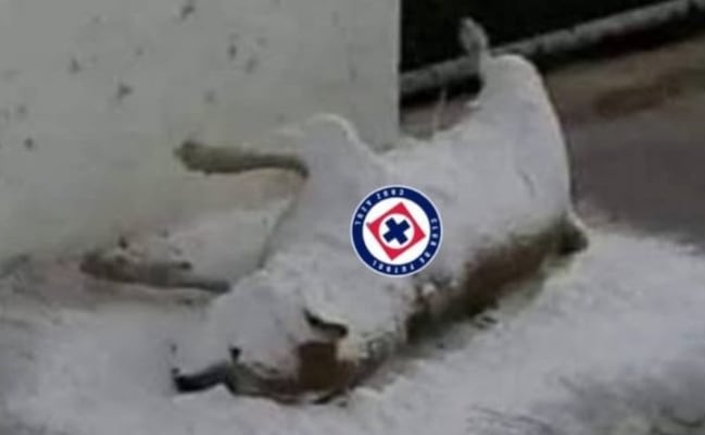 La decepción de las aficiones del América y el Cruz Azul en los memes de la semana