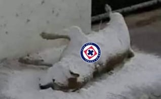 La decepción de las aficiones del América y el Cruz Azul en los memes de la semana