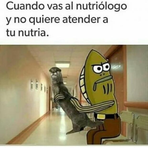 Memes por el Día del Nutriólogo 