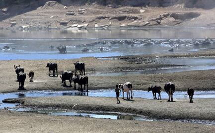 Contribución de la energía nuclear a la transición energética en México