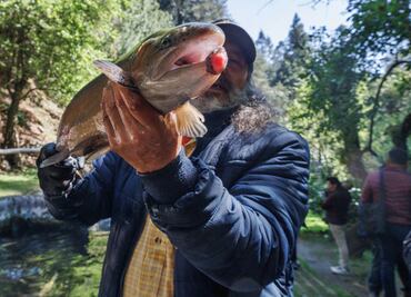 FOTOS: Así es el lugar en donde puedes pescar y comer truchas en la Ciudad de México