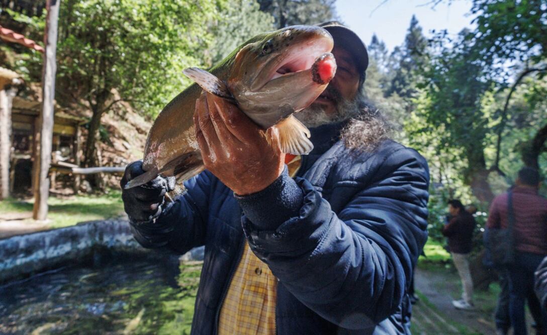 Venta de truchas en el rancho La Rosita, en Los Dinamos, de la alcaldía Magdalena Contreras. Foto: Yaretzy M. Osnaya / EL UNIVERSAL