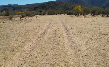 PGR asegura pista de aterrizaje clandestina en BCS