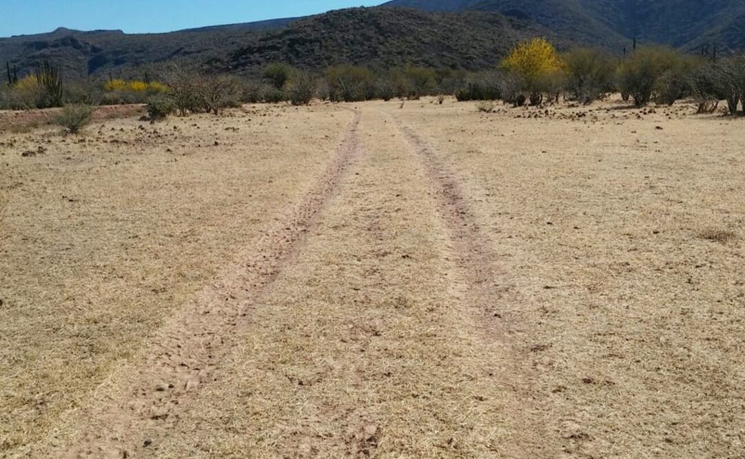 Foto: Cortesía PGR BCS
