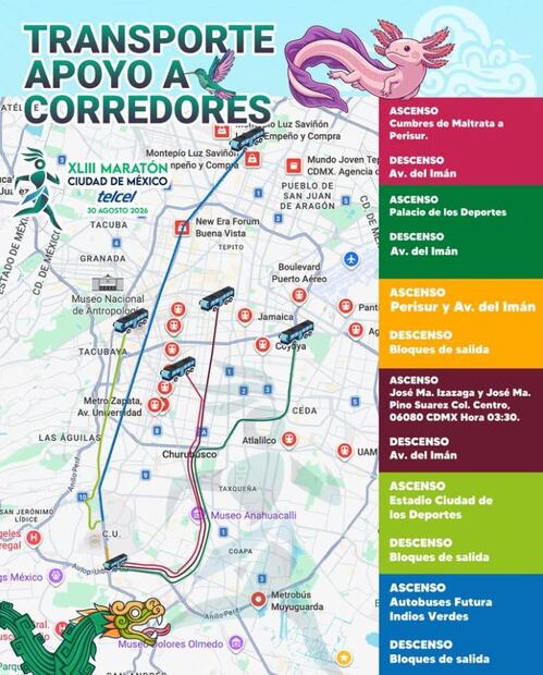Rutas de transporte en apoyo a los corredores para el Maratón de la Ciudad de México - Foto: @maraton_cdmx en Instagram