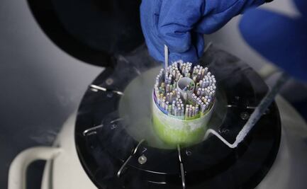 Por negligencia, clínica de fertilidad deberá congelar embriones de una mujer como indemnización