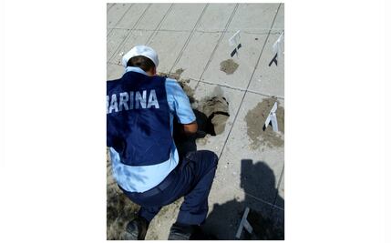 Marina anida 369 huevos de Tortuga Golfina en Guerrero