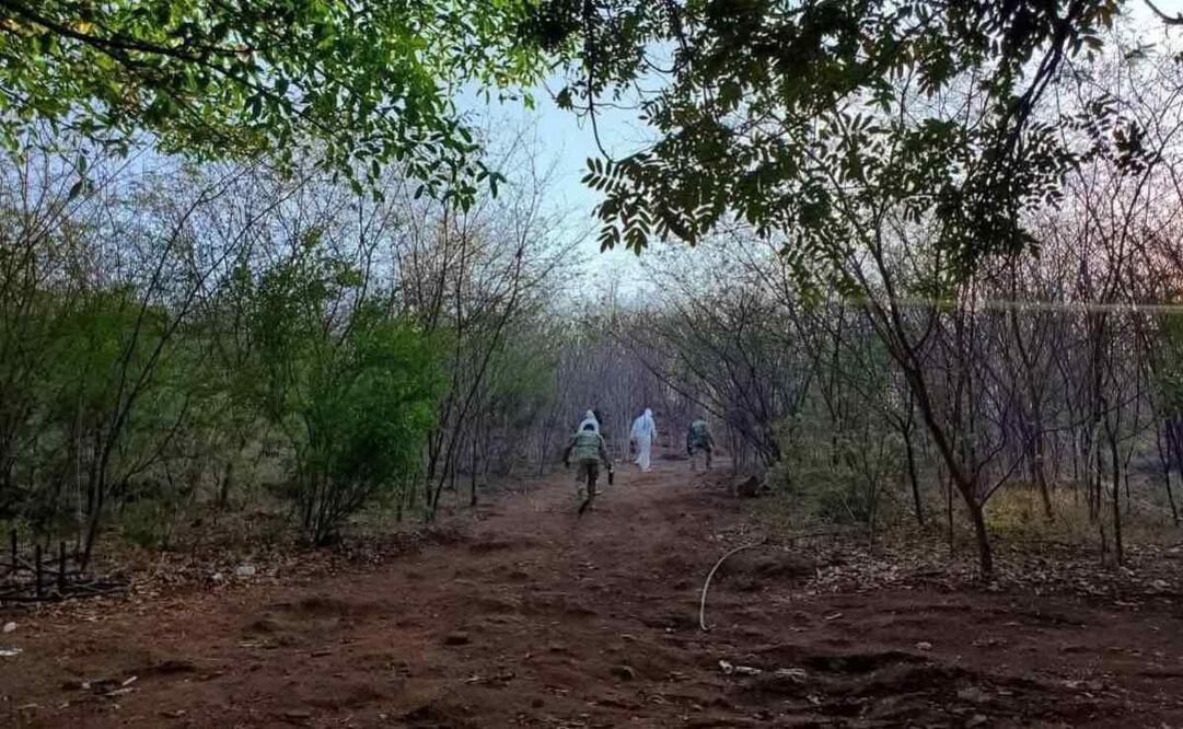 Desmantela narcolaboratorio en el municipio de Acaxochitlán, Hidalgo (06/07/2025). Foto: Especial