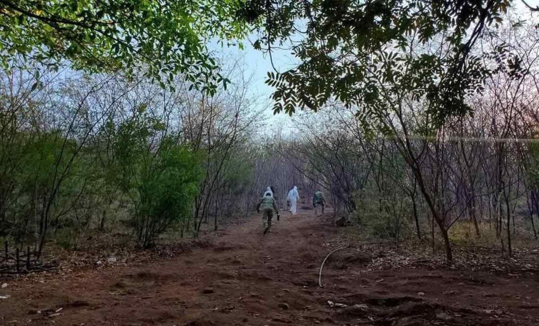 Desmantela narcolaboratorio en el municipio de Acaxochitlán, Hidalgo (06/07/2025). Foto: Especial