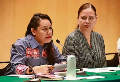 Analizan reforma a Ley Minera