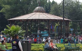 “Jardín Hidalgo se convierte en espacio polinizador”
