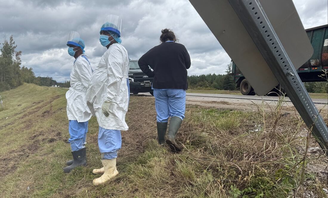 Expertos con ropa de protección buscan a tres monos de laboratorio que escaparon tras un accidente en el camión que los trasladaba, en Heidelberg, Mississippi. FOTO: SOPHIE BATES. AP