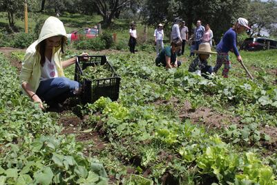 Proponen una dieta sustentable a través de huertos