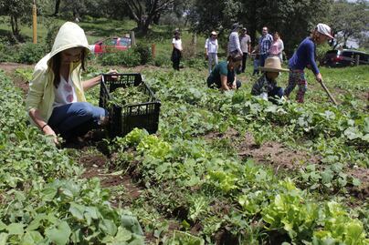 Proponen una dieta sustentable a través de huertos