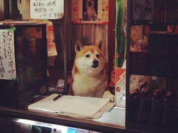 Esta es la historia del perrito que atiende una tienda en Japón