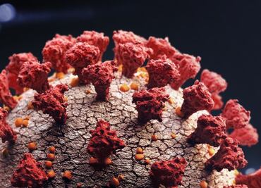 ¿Qué se espera de las nuevas variantes XD, XE y XF del Covid-19?