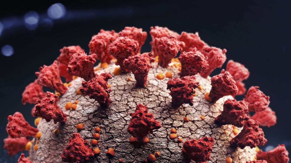 Los virus de ARN pueden ser excepcionalmente mutables. Foto: Getty Images