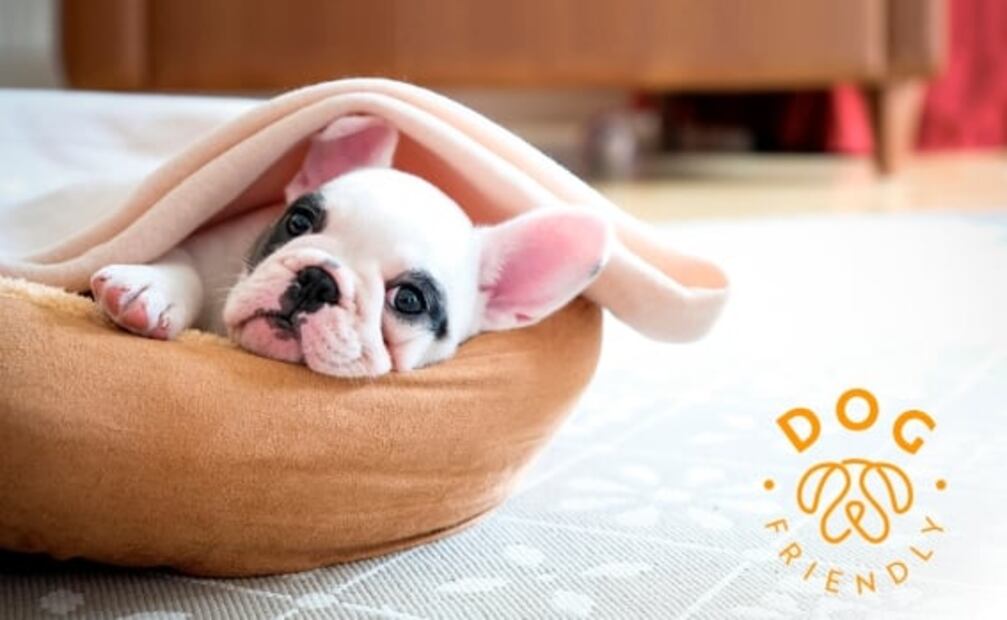 Visita un edén llamado Fiesta Americana Hacienda San Antonio El Puente Cuernavaca