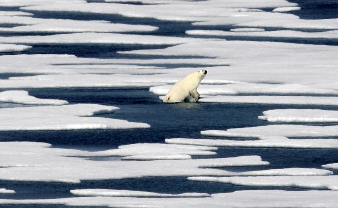 Climate scientists point to the Arctic as the place where climate change is most noticeable with dramatic sea ice loss, a melting Greenland ice sheet, receding glaciers and thawing permafrost - Photo: David Goldman/AP