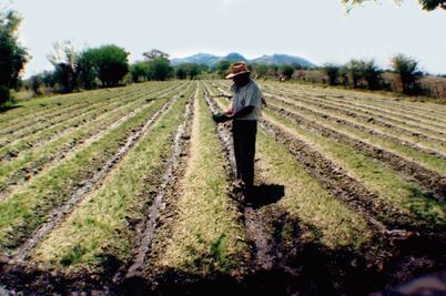 Sedatu apoya en Morelos a jornaleros