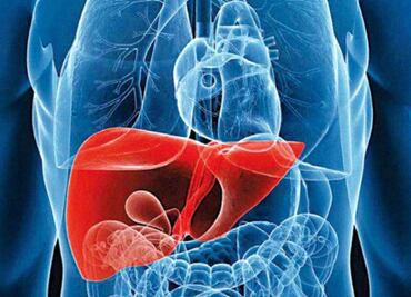 SSa informa que se han curado 22.7 mil casos de Hepatitis C durante sexenio de AMLO