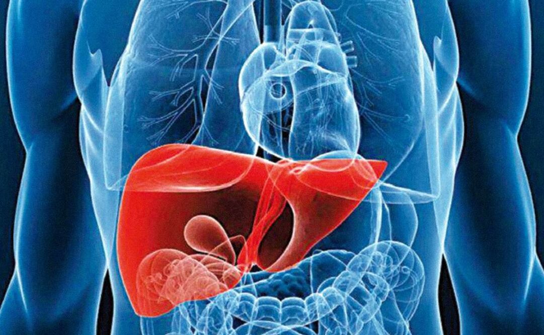 Foto ilustrativa: Archivo