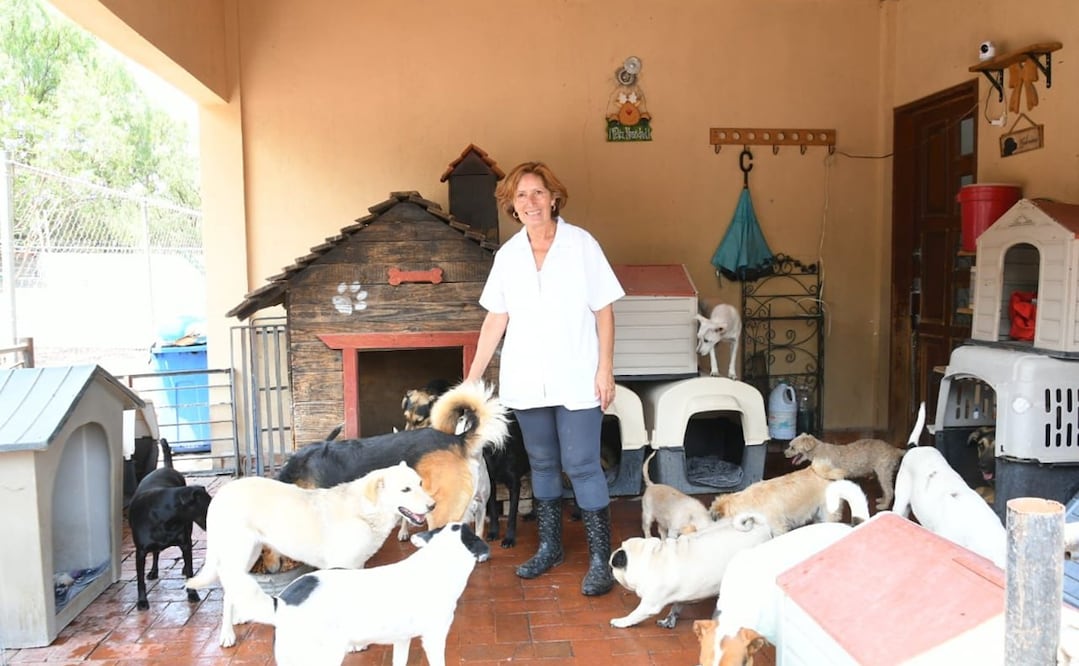 Albergue de perritos en Cuautitlán Izcalli. Foto: Especial
